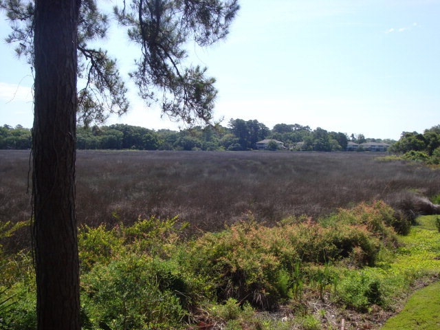 302 Brockinton Marsh unit 302, Saint Simons Island, GA 31522 - photo 1