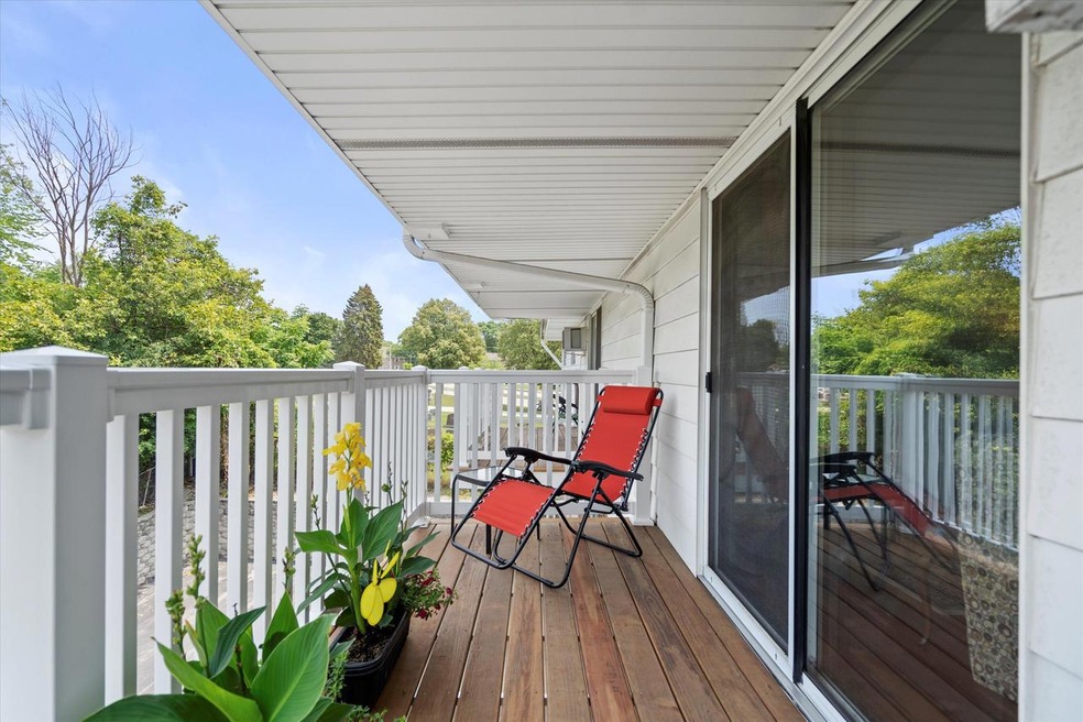 New Patio