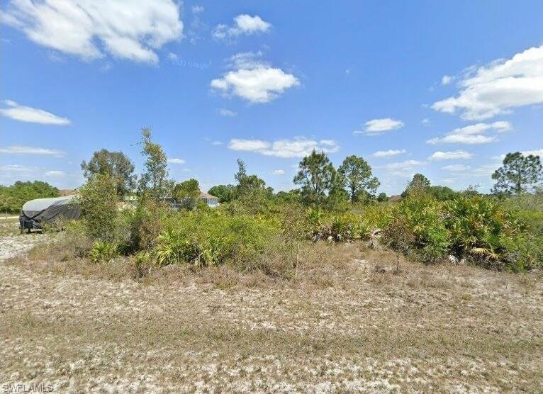 View of undeveloped land
