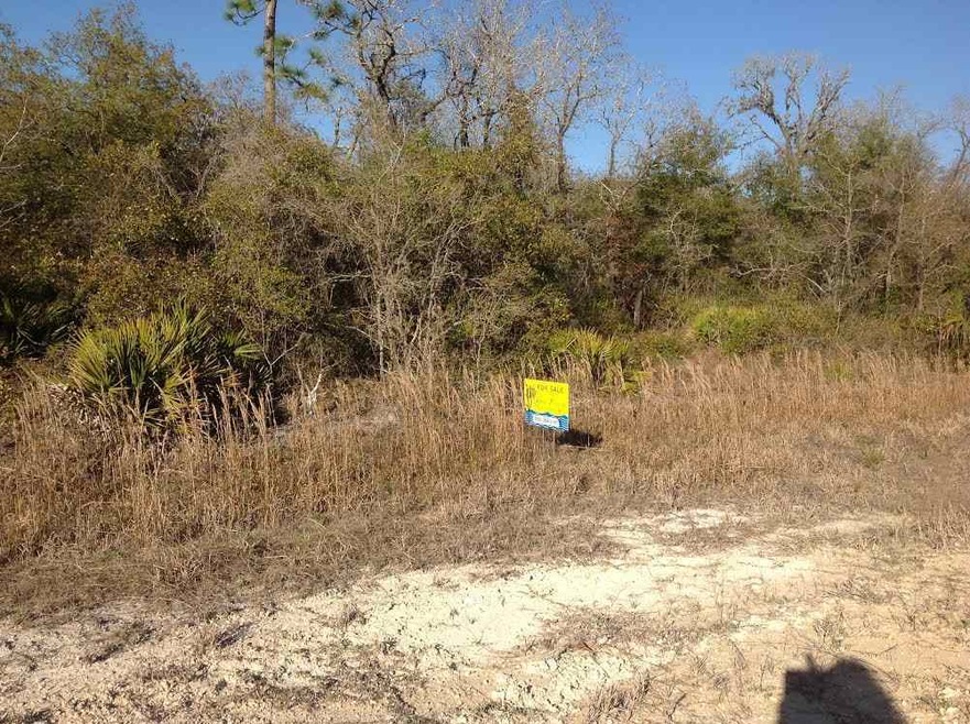 0 Yates Creek Rd unit 254948, Perry, FL 32348 - photo 1