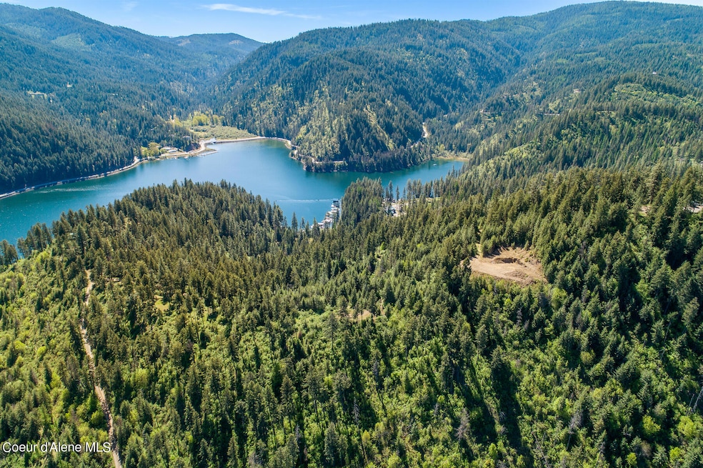 Aerial_BridgerTrailLot-1