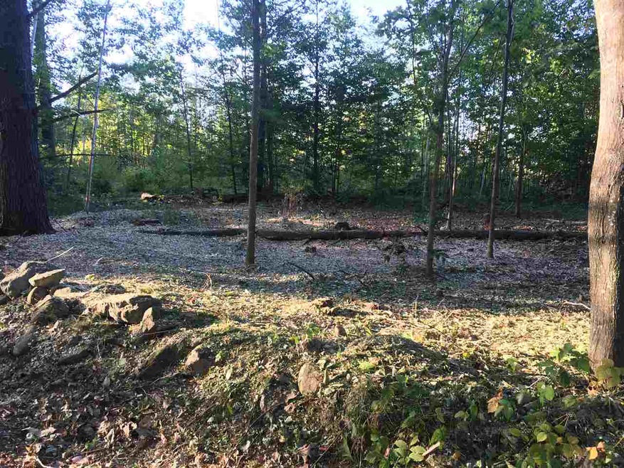 TBD Willey Rd, Brookfield, NH 03872 - photo 1