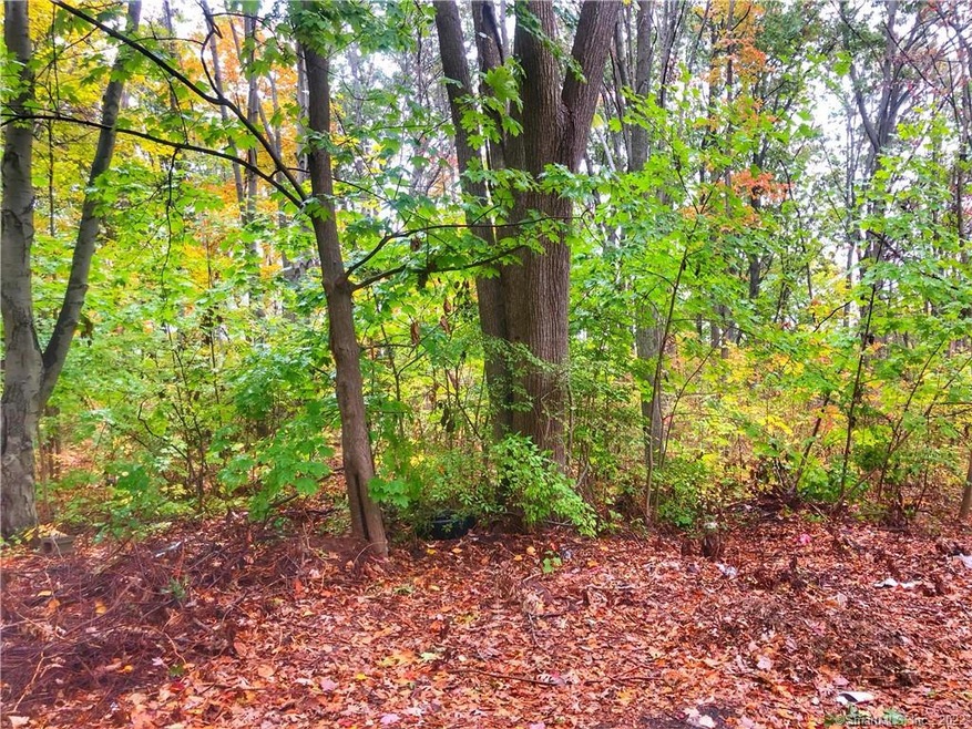 49 Bacon St, Meriden, CT 06451 - photo 1