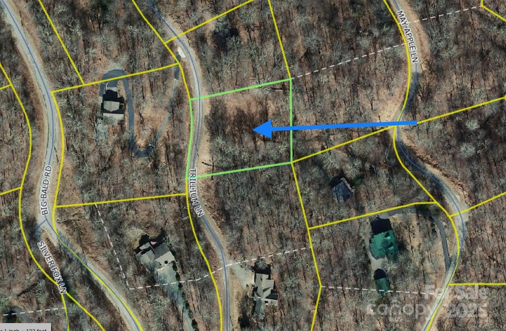 000 Trillium Ln unit 30, Mars Hill, NC 28754 - photo 1