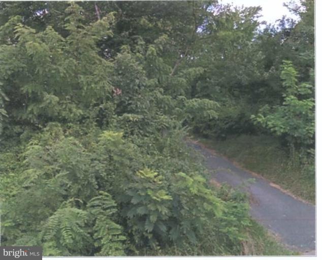 2528 Metzerott Rd, Adelphi, MD 20783 - photo 1