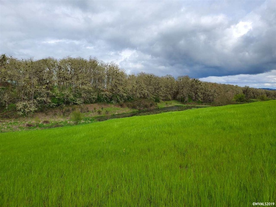 0 NE Kings Valley Hwy unit 751413, Dallas, OR 97338 - photo 1