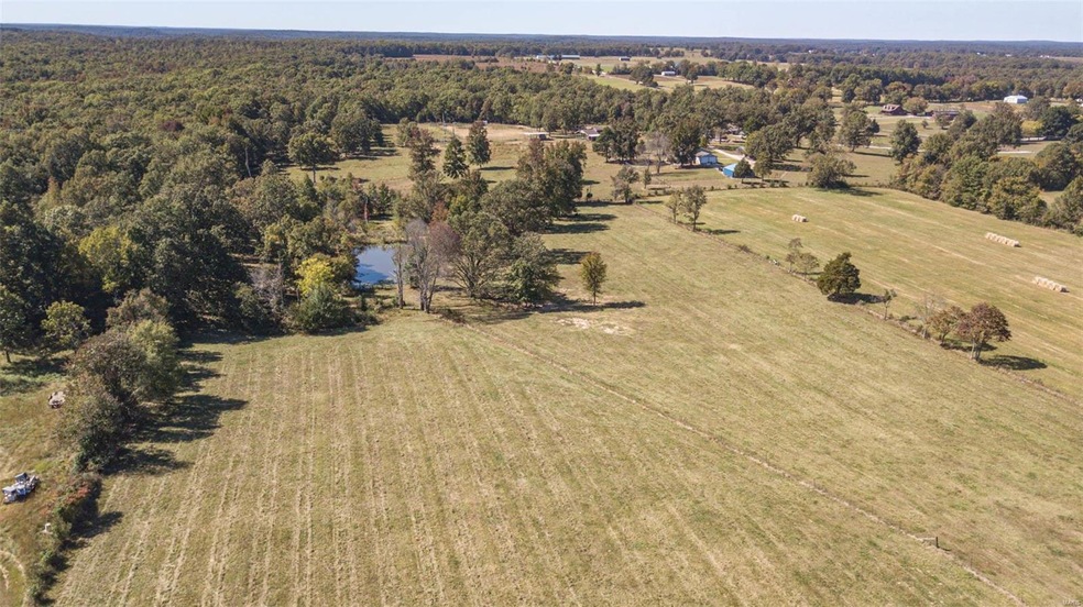 1W of County Road 459, Beaver Dam Township, MO 63901 - photo 1