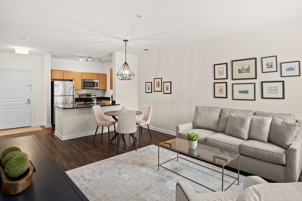 3 Repton Cir unit 3107, Watertown, MA 02472 - photo 1