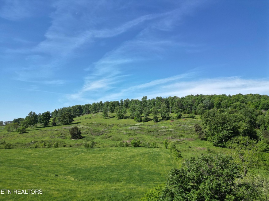 Tract 2 Highway 92, Rutledge, TN 37861 - photo 1