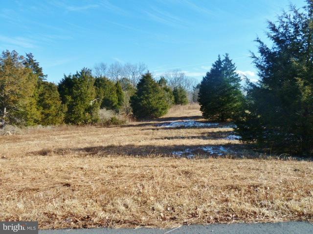 LOT 41 Comforter Ln, North River, VA 22645 - photo 1