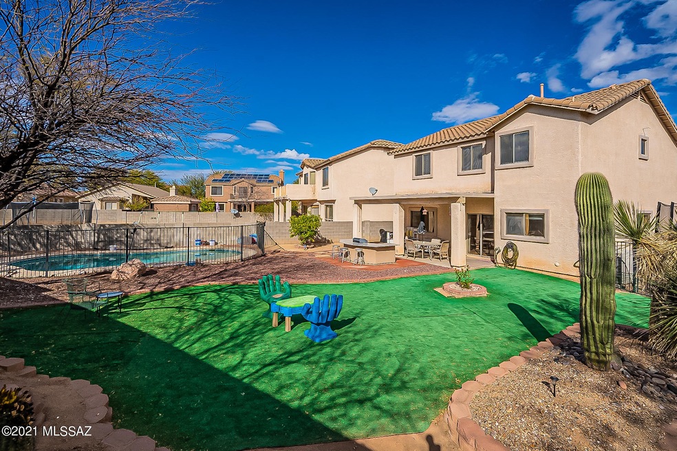 Backyard Oasis