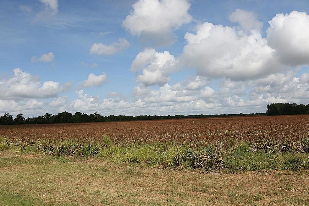 00 Philip Evan Rd, Needville, TX 77461 - photo 1