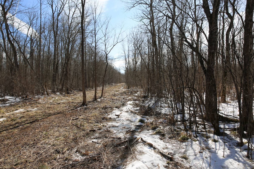 For Sale $59,000 • Co-Listing Agent