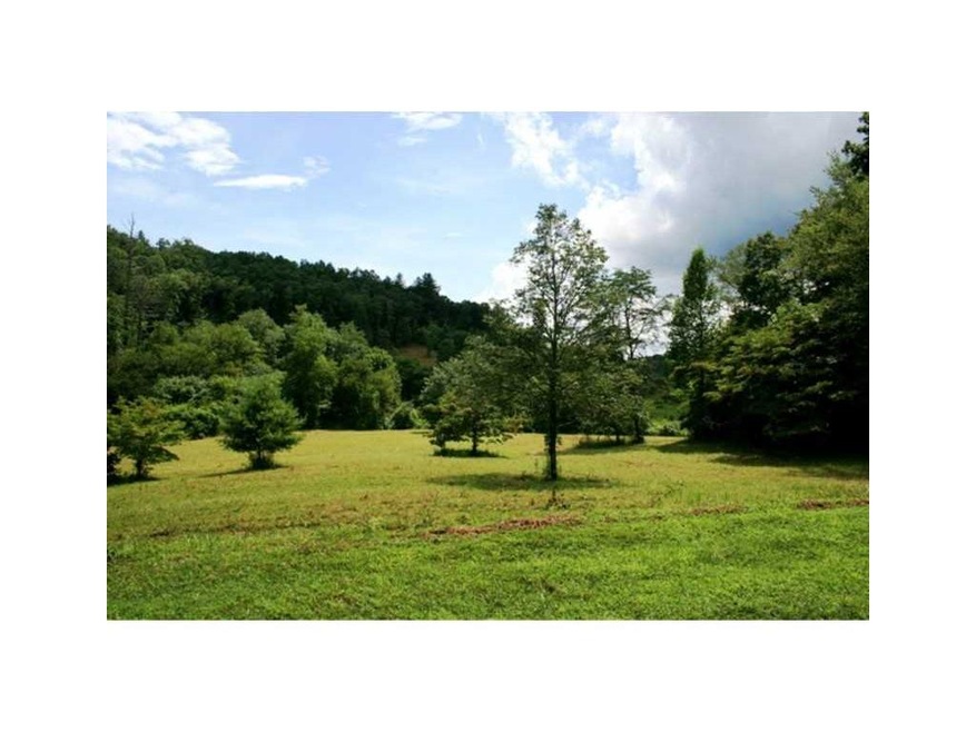 42 Young Stone Dr, Mineral Bluff, GA 30559 - photo 1