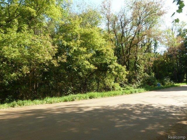 Curdy Rd. 10 Acres