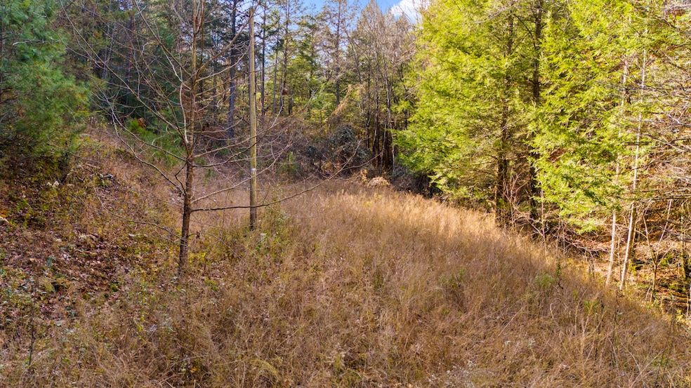 0 Cr-1039, Beattyville, KY 41311 - photo 1