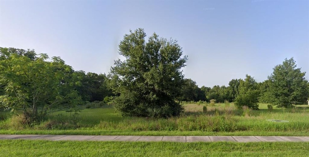 10502 Moore Rd, Gotha, FL 34734 - photo 1