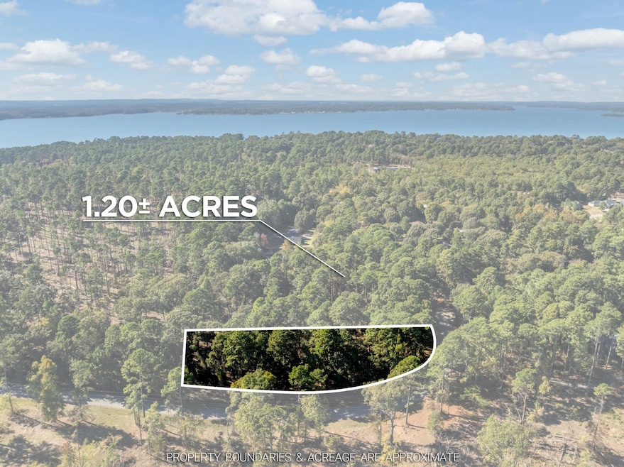 0 Pintail Dr Lot 6, Flint, TX 75762 - photo 1