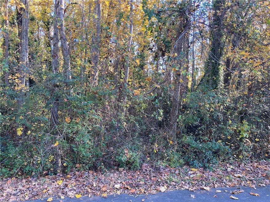 00 Brook Hampton Ave, Honea Path, SC 29654 - photo 1