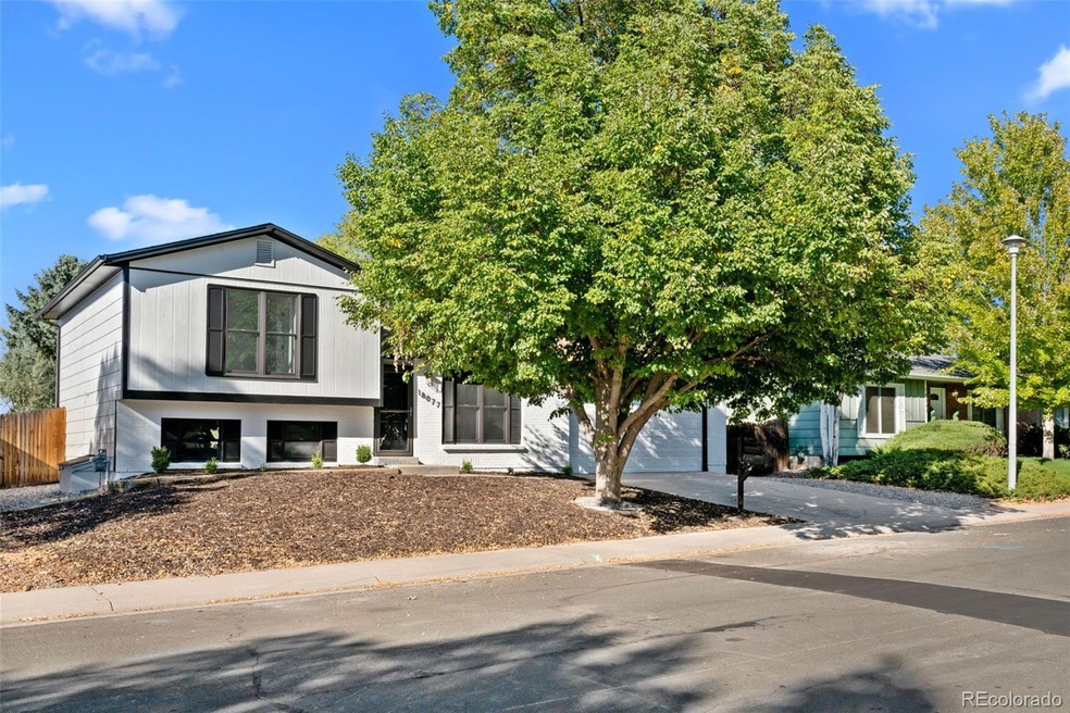 Mature Tree and zero maintenance front lawn