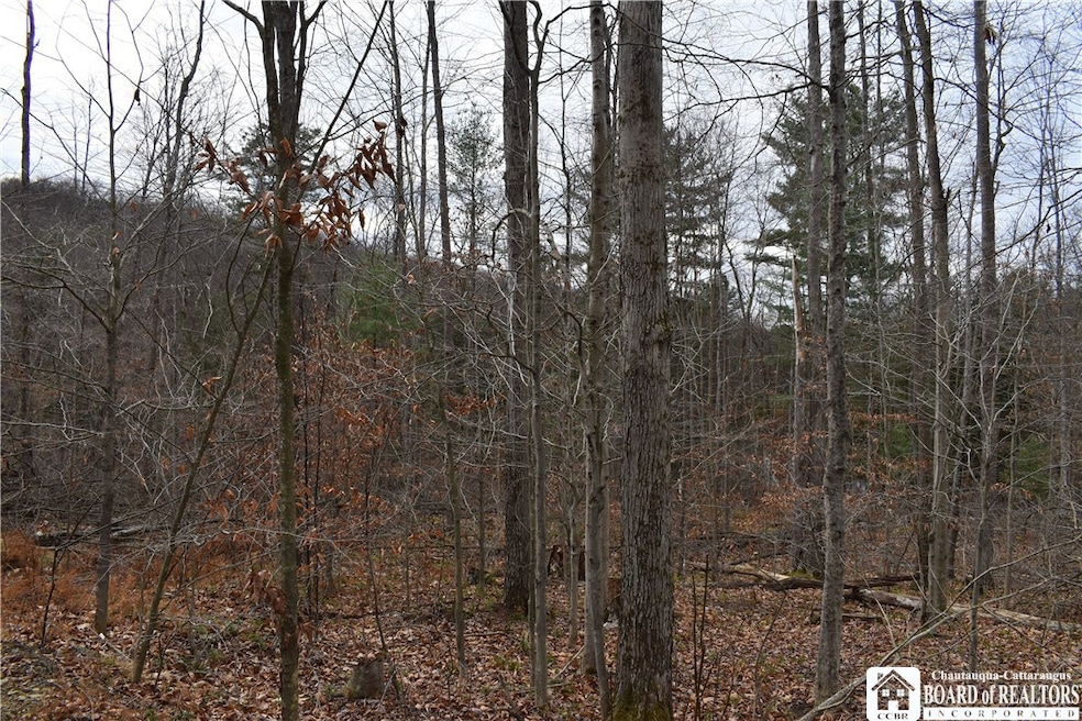 0 Morgan Hollow Rd, Olean, NY 14760 - photo 1