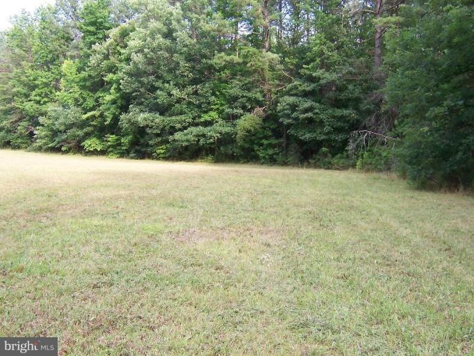 25191 Oxford Rd, Ruther Glen, VA 22546 - photo 1