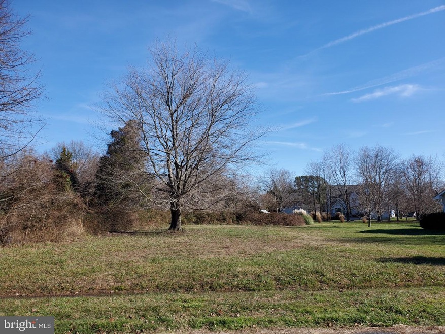 313 Columbia Ln, Stevensville, MD 21666 - photo 1