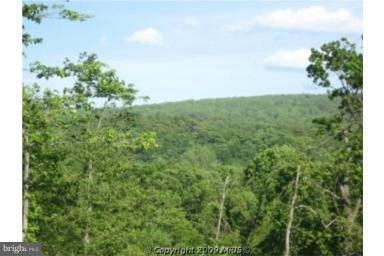 0 Lions Ln unit 1003229210, Boyce, VA 22620 - photo 1