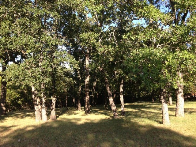 114 Tanglewood Dr unit 35, Fredericksburg, TX 78624 - photo 1