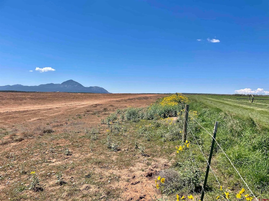 Tract 5 Road K 3, Cortez, CO 81321 - photo 1