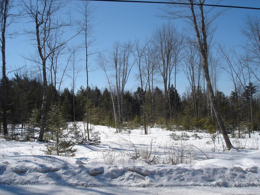 DSC09955