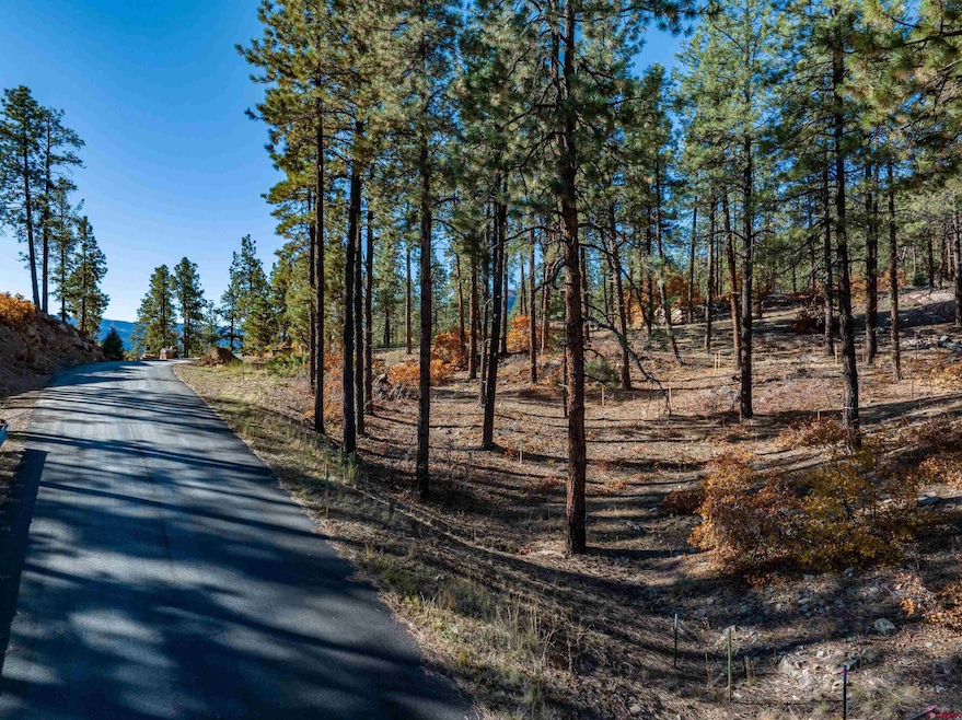 119 Hideout Trail, Durango, CO 81301 - photo 1