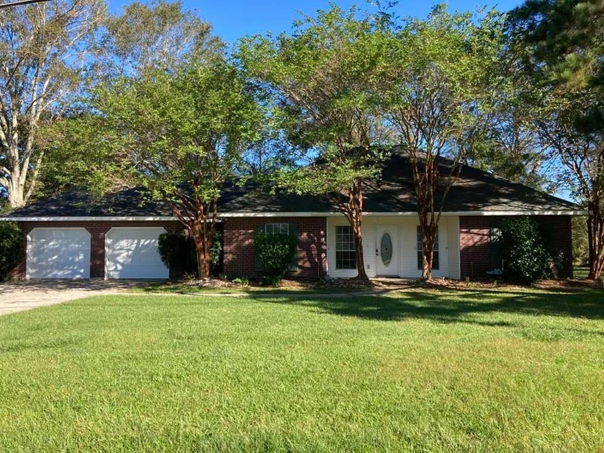 Main View