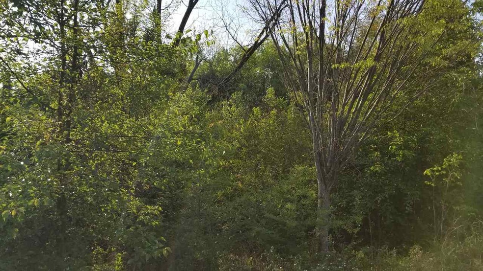 5224 Bloomfield Rd, Macon, GA 31206 - photo 1