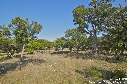23710 Verde River, Cross Mountain, TX 78255 - photo 1