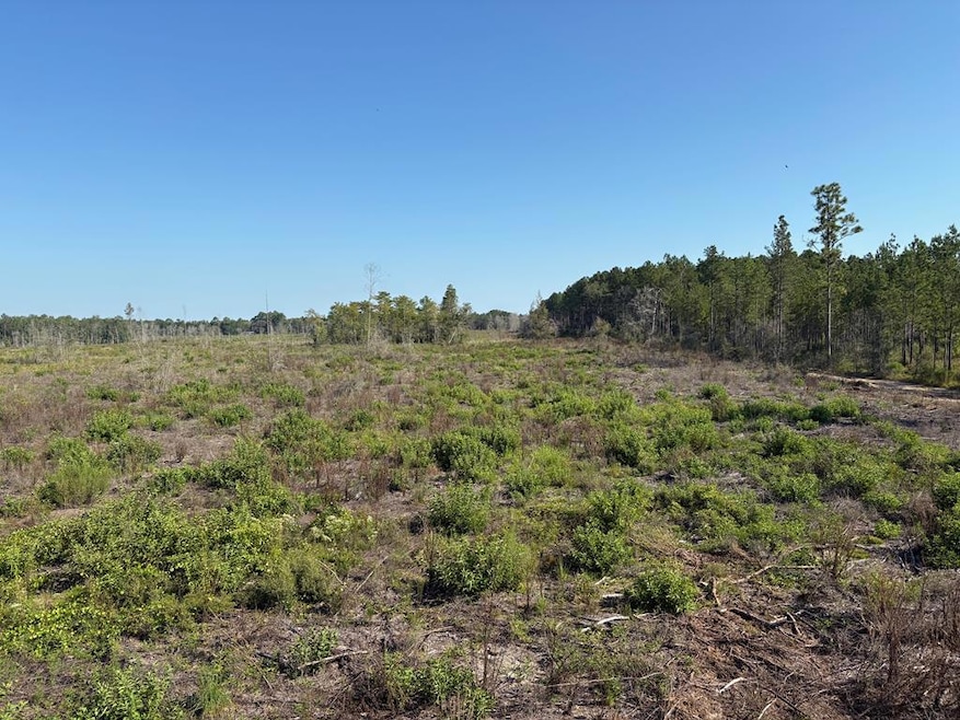 25.29 Acres Alabama 87, Samson, AL 36477 - photo 1