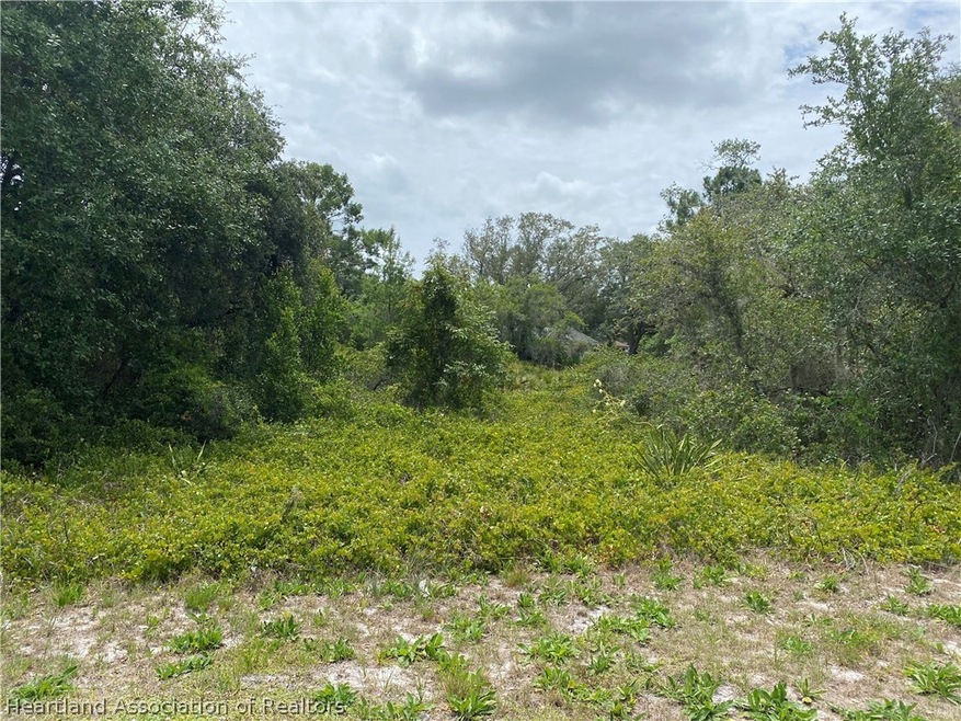 139 Washington Blvd, Lake Placid, FL 33852 - photo 1