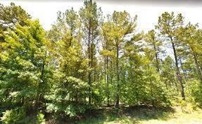 trees