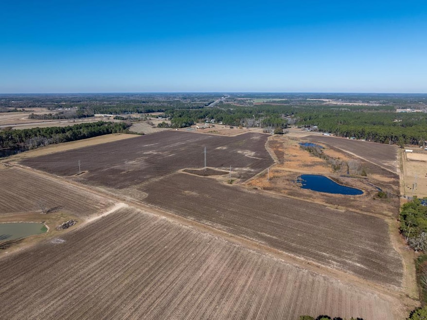 0 Brighton Rd, Abraham Baldwin College, GA 31794 - photo 1