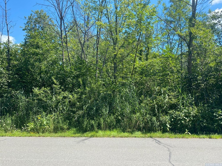 986 Sleepy Hollow Rd, Athens, NY 12015 - photo 1