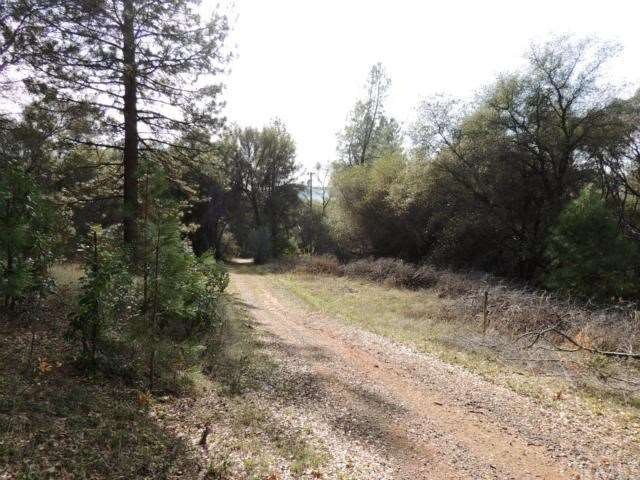 Driveway to Home site