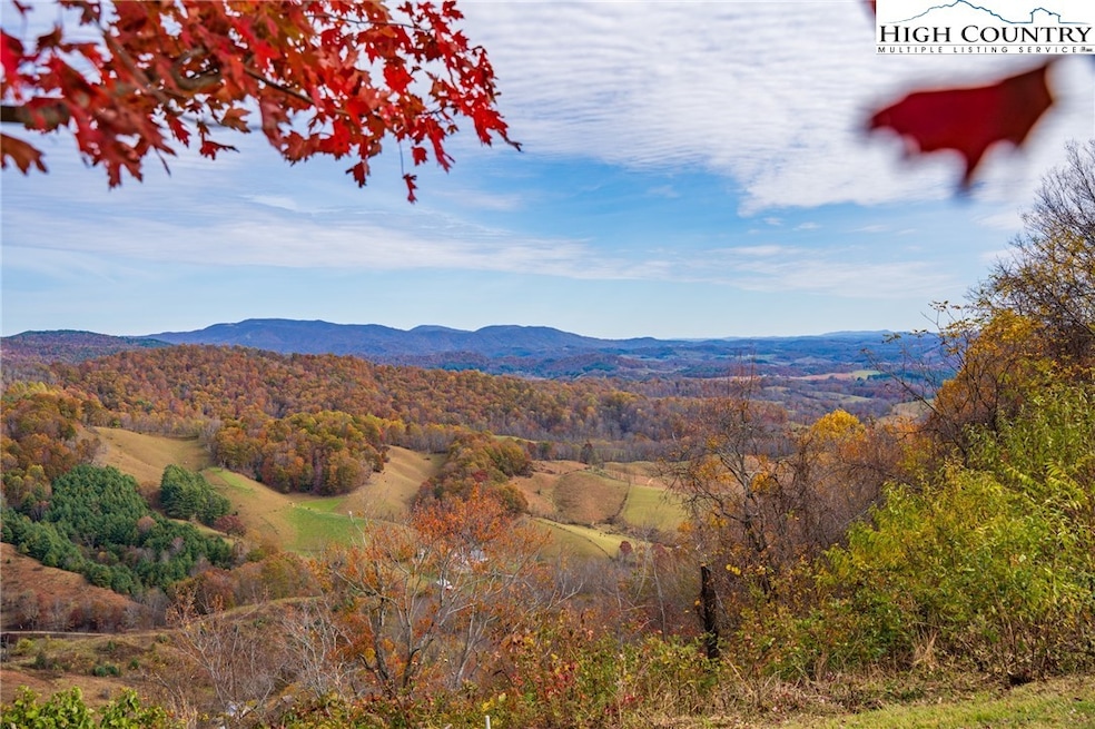 TBD lot 4 Mayito Ln, Mouth of Wilson, VA 24363 - photo 1