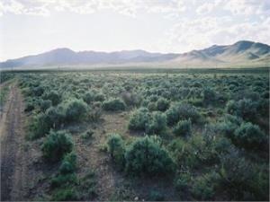 Garden Valley Ranchos