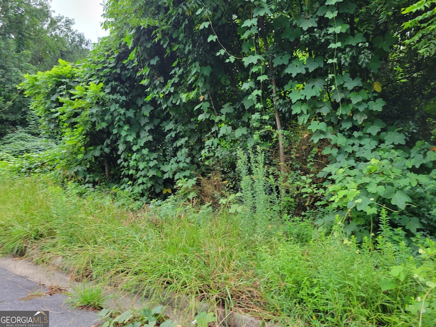 1036 Walnut Creek Ln, Jonesboro, GA 30238 - photo 1