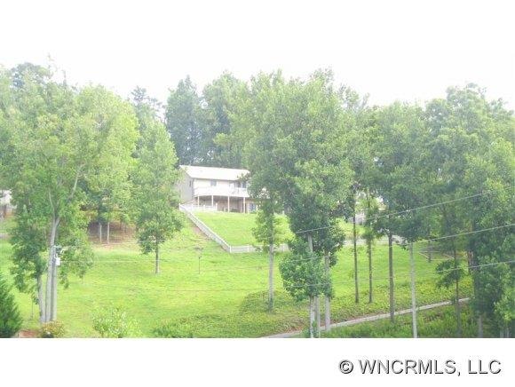 921 Old Leicester Hwy, Asheville, NC 28806 - photo 1