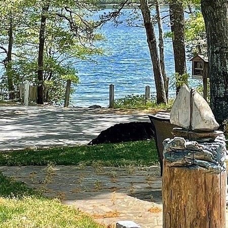 50 Pond St, Dennis, MA 02638 - photo 1