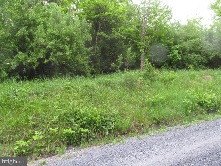 0 Sec 12 Lot 248 Quail Rd unit 1001533920, Basye, VA 22810 - photo 1
