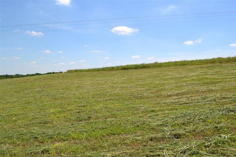 1600 Cummins Ferry Rd, Salvisa, KY 40372 - photo 1