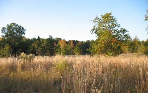 0 250th Terrace, Obrien, FL 32071 - photo 1