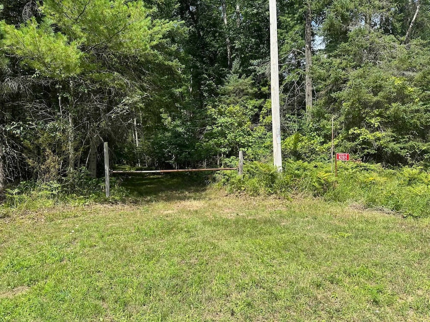 N2815 River Dr, Wallace, MI 49893 - photo 1